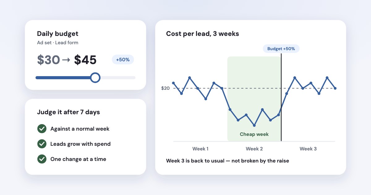 A daily budget raised from $30 to $45, and cost per lead over three weeks: a cheap second week, the raise, and a third week back at the usual $20 — not broken by the raise.